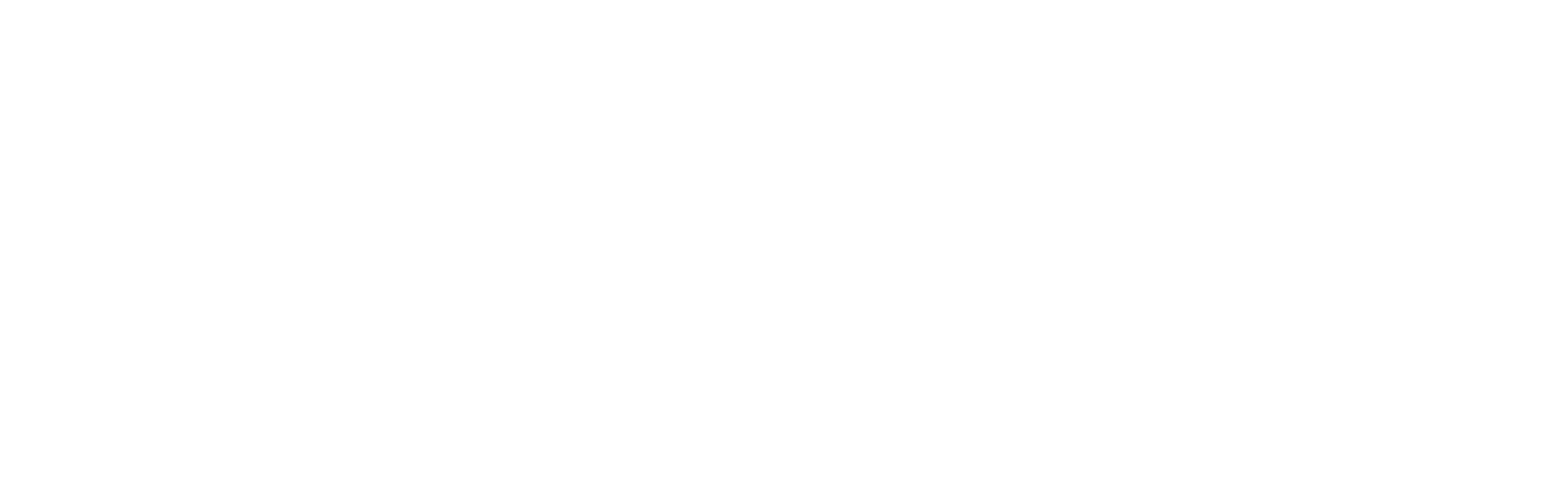 Burning Blue logo2